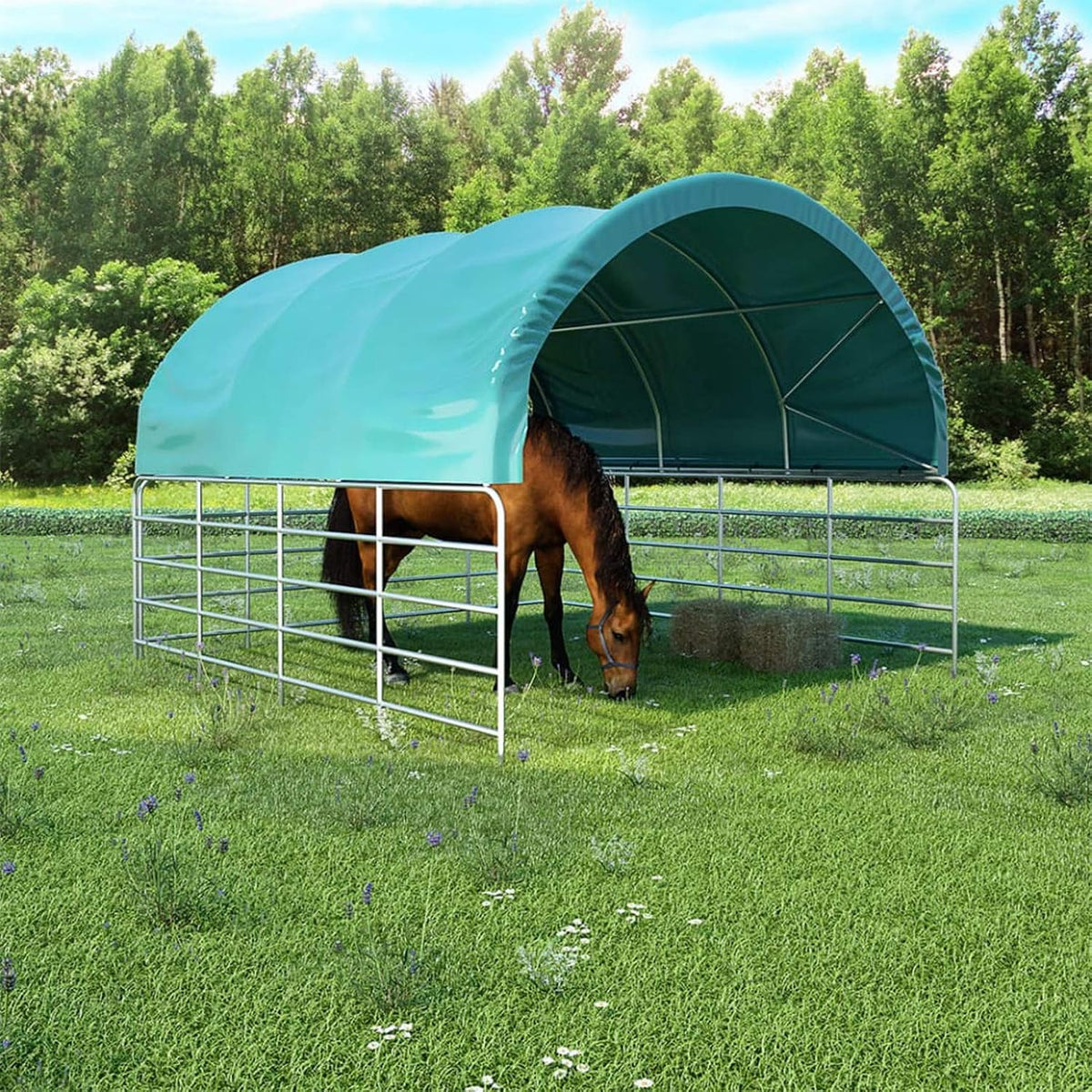 Schafe & Ziegen, 3,7 × 3,7 m, Grün/Silber, ShCuShan
